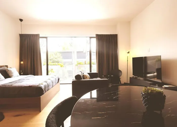Beautiful, Centric, Cozy In Roma Norte. * Mexico City